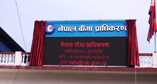 बीमा कम्पनीको लगानीको दायरा बढ्यो, चुक्तापूँजीको १५ प्रतिशत शेयर लगानी गर्न पाउने