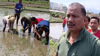 अन्तर्राष्ट्रिय गीत बजाएर विप्लवले रोपे  धान