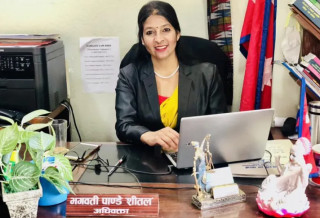 अधिवक्ता पाण्डे विरूद्ध पक्राउ पूर्जी जारी
