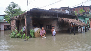 वर्षाका कारण कैलालीमा ४६३ परिवार प्रभावित