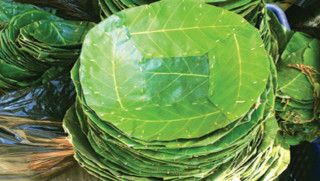 दुना टपरीबाट मनग्य आम्दानी