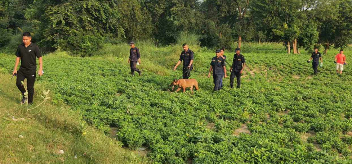 कारागारका 'भाइ नाइके' खोज्न साढे दुई सय बढी सुरक्षाकर्मी परिचालन