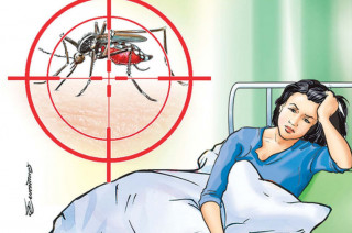 देशभर भयावह बन्दै डेङ्गी,  बिरामीको सङ्ख्या ६ हजार नाघ्यो