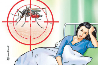 कैलालीमा एक हजार बढी डेङ्गीका बिरामी
