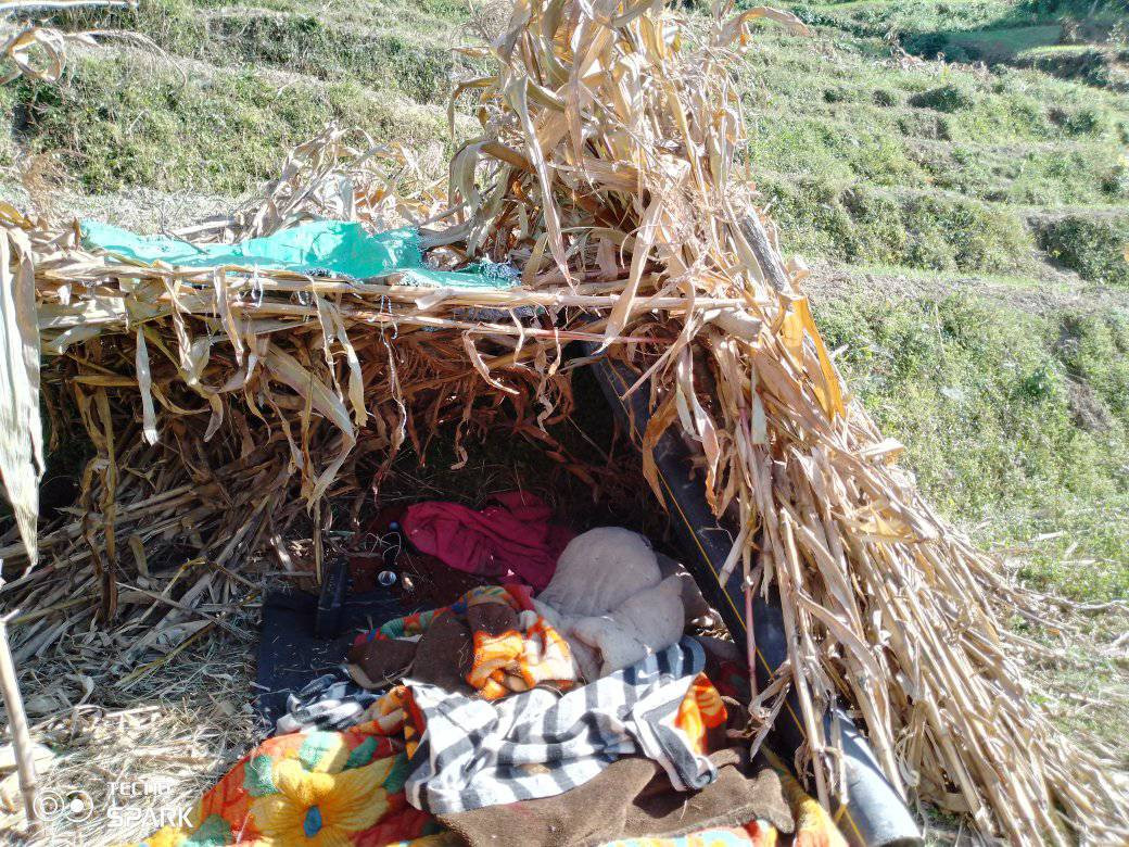 काेठा लिएर बस्ने भूकम्प पीडितले अझै पाएनन् त्रिपाल