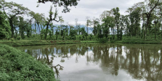 पर्यटन प्रवर्द्धनार्थ जङ्गलमा ताल निर्माण सुरु, १७ करोड खर्च गरिदै