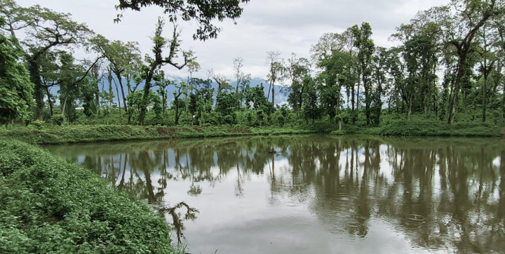 पर्यटन प्रवर्द्धनार्थ जङ्गलमा ताल निर्माण सुरु, १७ करोड खर्च गरिदै