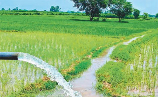 मकवानपुरमा सय साना सिँचाइ योजना सम्पन्न