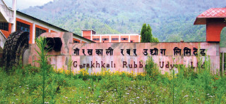 गोरखकाली रबर उद्योग सञ्चालनको माग
