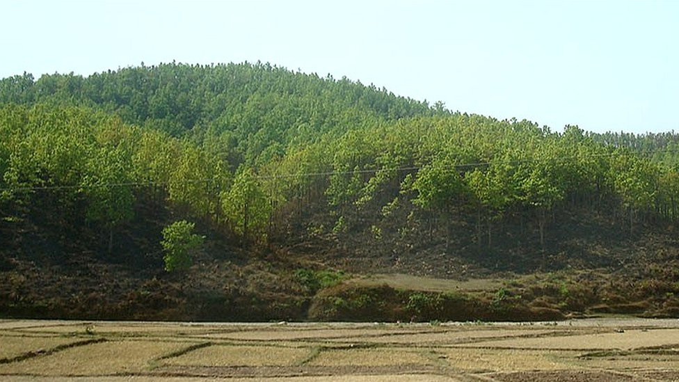 चोरीसिकारी बढेपछि चुरे क्षेत्रमा मासिँदै पशुपक्षी