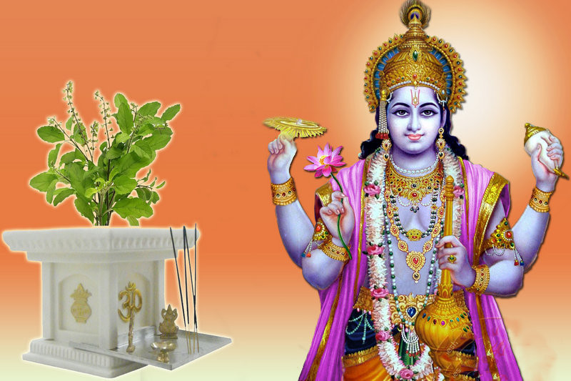 हरिशयनी एकादशी : आज तुलसी रोप्ने दिन