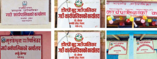 डोल्पाका सबै स्थानीय तहमा मनलागी खर्च