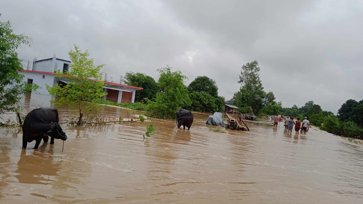 कैलालीमा ५ सय बढी घर डुबानमा, जनजीवन प्रभावित