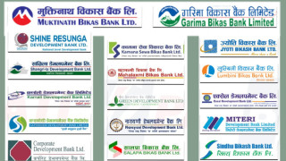 एक महिनामै विकास बैंकले कमाए ८५ करोड नाफा, साइन रेसुङ्गा पहिलो हुँदा मितेरी सबैभन्दा कमजोर