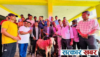 मर्स्याङ्दी गाउँपालिकाद्वारा कृषि उत्पादनको बिक्रीलाई प्रवर्द्धन गर्दै हाटबजार सञ्चालन