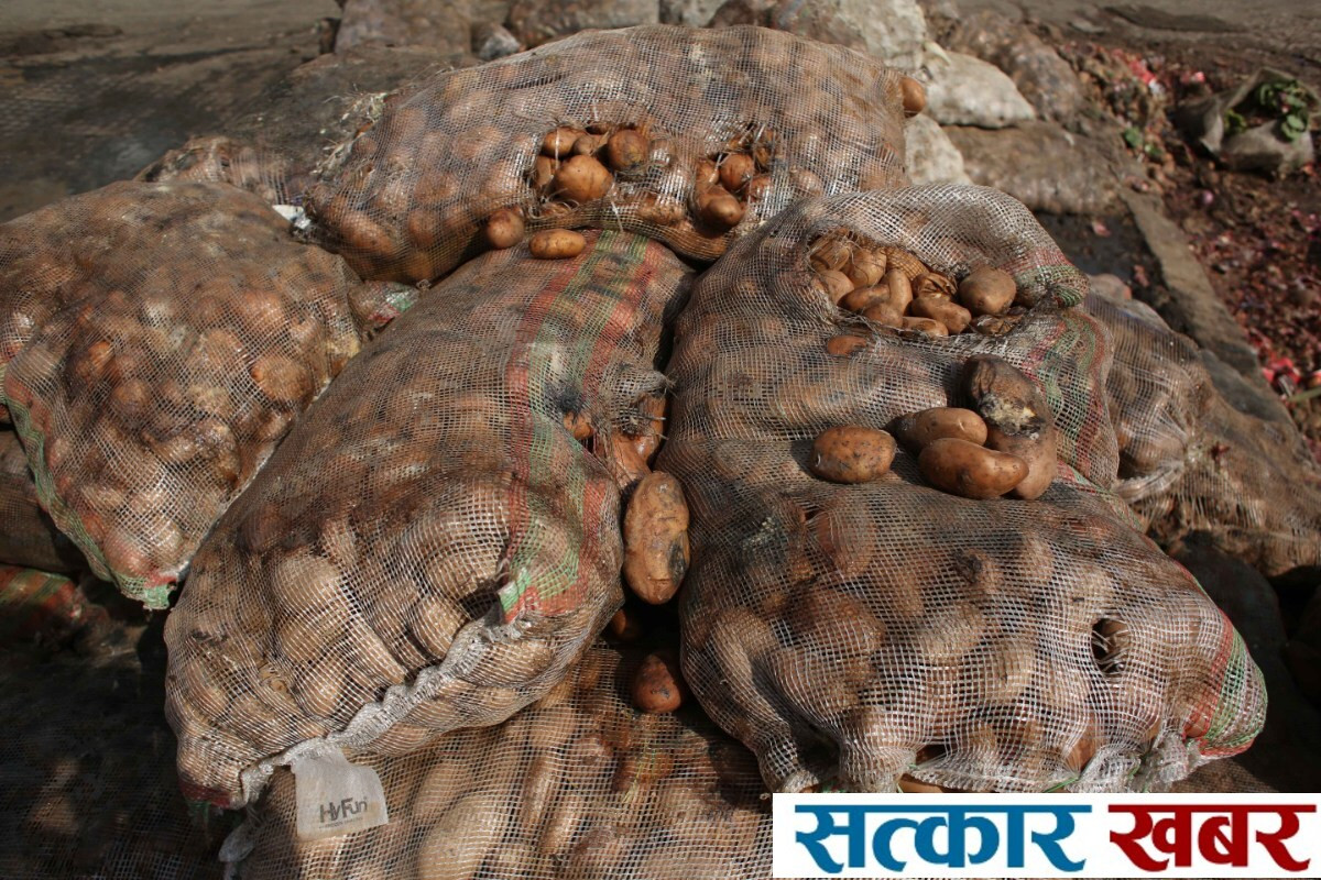भारतबाट ल्याइएका आलु सडक जामले कुहिँदा तरकारी बजारमा संकट, व्यापारीहरू मारमा