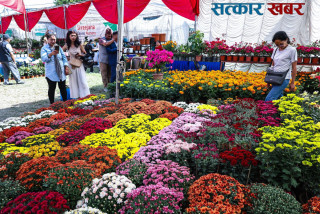 तिहारको रौनकसँगै सुरु भयो १७ औं गोदावरी फूल प्रदर्शनी