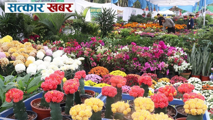 भृकुटीमण्डपमा तिहार फ्लोरा एक्स्पो: फूलको उत्सवमा ३५ हजार दर्शकको अपेक्षा