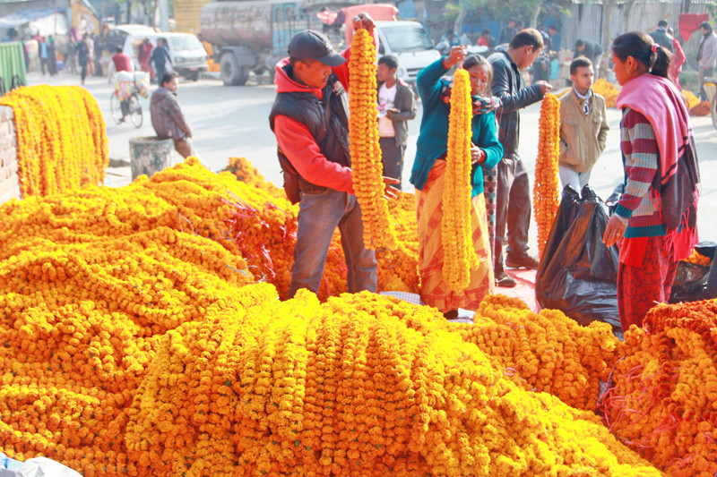 काठमाडौंका ४६ स्थानमा फूल बिक्री स्थल तोकियो