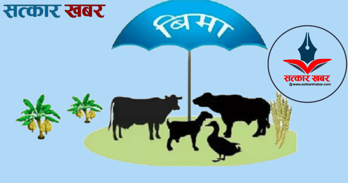 कृषि बीमामा आठ करोडको अनुदान: कृषकलाई राहतको आशा