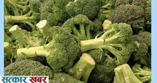 ब्रोकाउली: स्वास्थ्यका लागि लाभदायक तरकारी, प्रोटिन र अन्य पोषणको भरपुर स्रोत