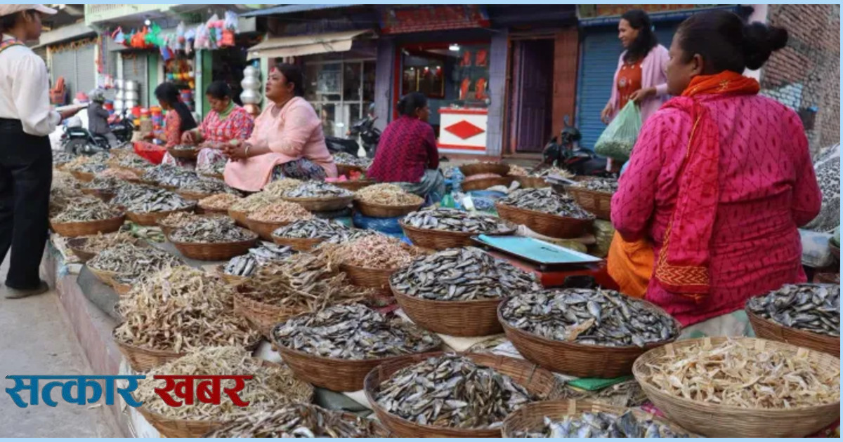 धरानमा जाडोसँगै सिद्राको व्यापारले पकड बलियो बनाउँदै
