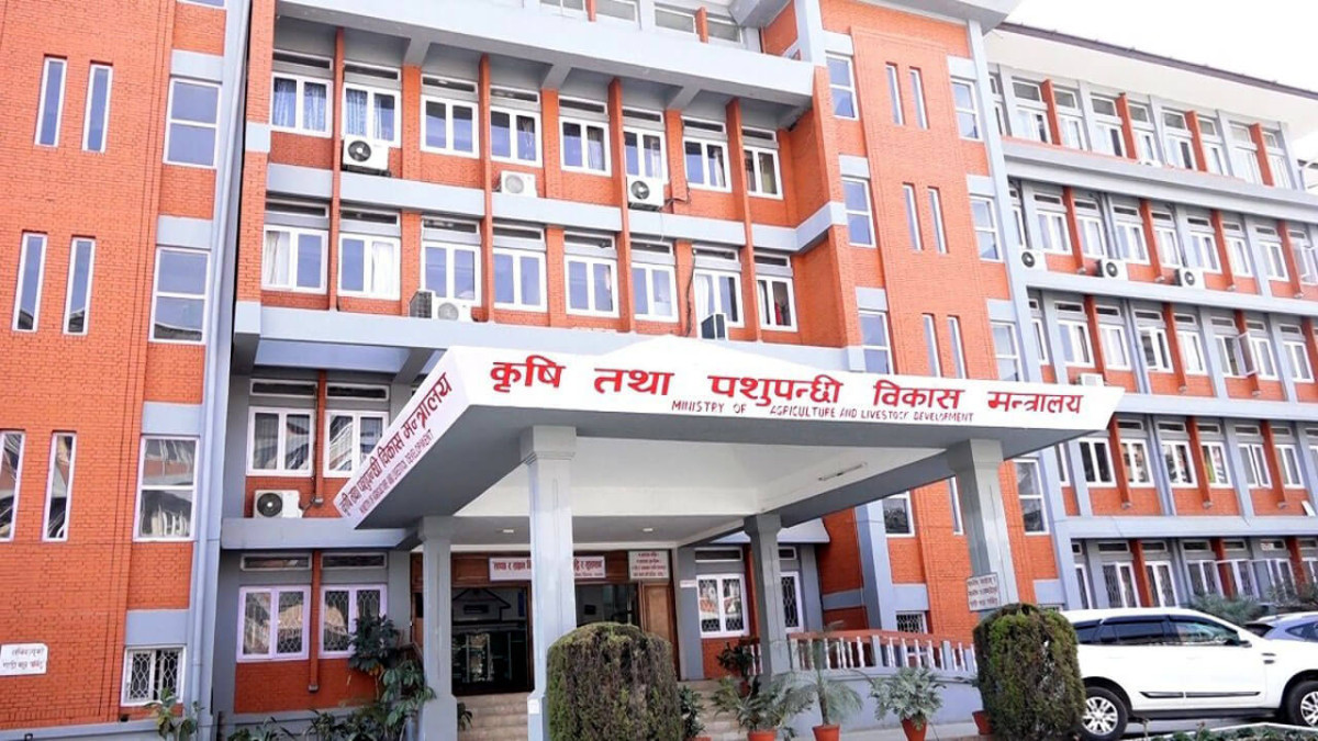 उखु खेती गर्ने किसानलाई राहत: १ अर्ब ५० करोडभन्दा बढी अनुदान दिने